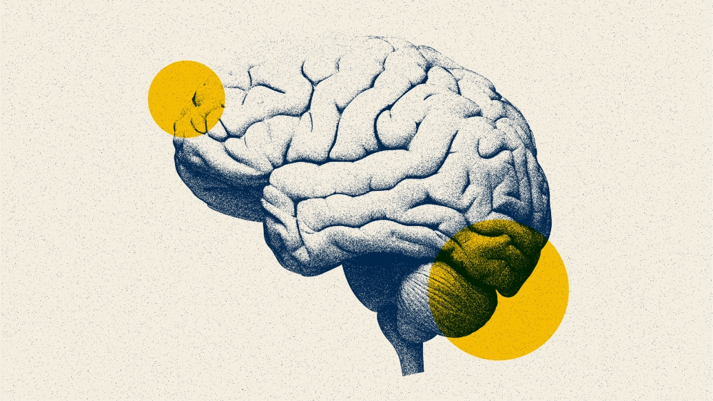 brain blue yellow sketch
