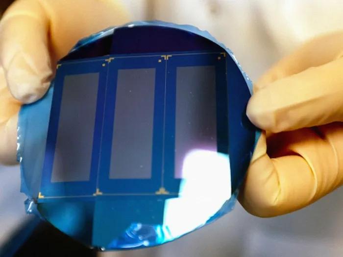 Gloved hands holding silicone chips used in cancer research