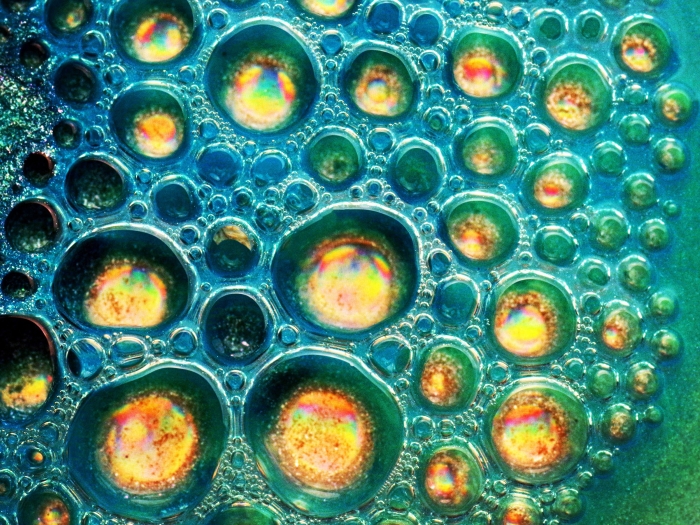 close up of yellow cells and blue greenish teal background