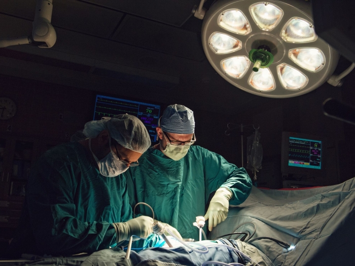 Two transplant surgeons operate under a large surgical light.