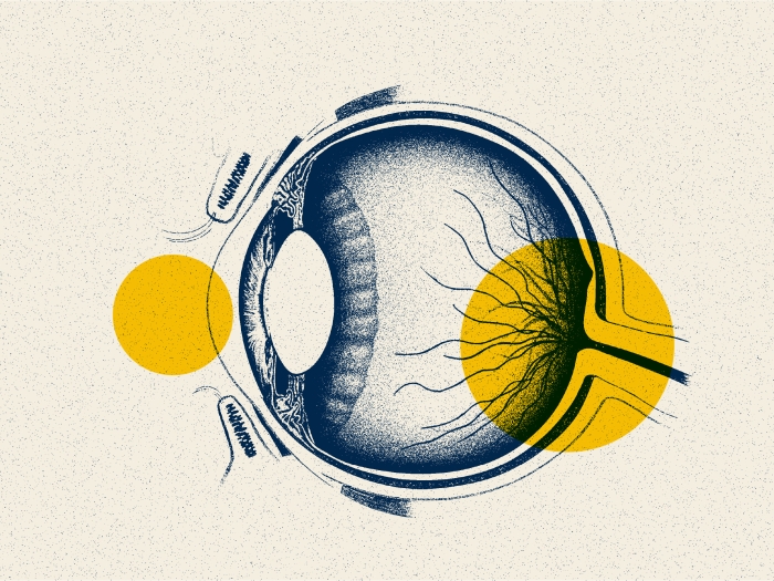 eye drawing blue yellow highlight 