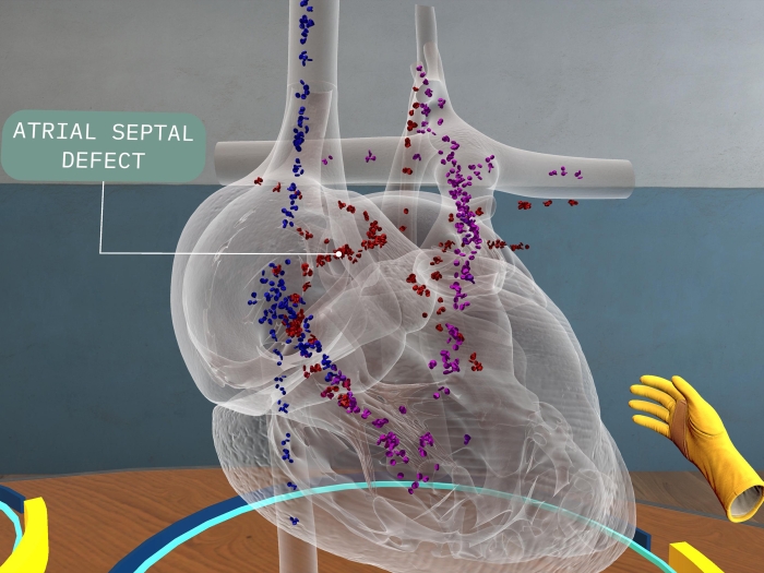 see through heart on table through virtual reality set up