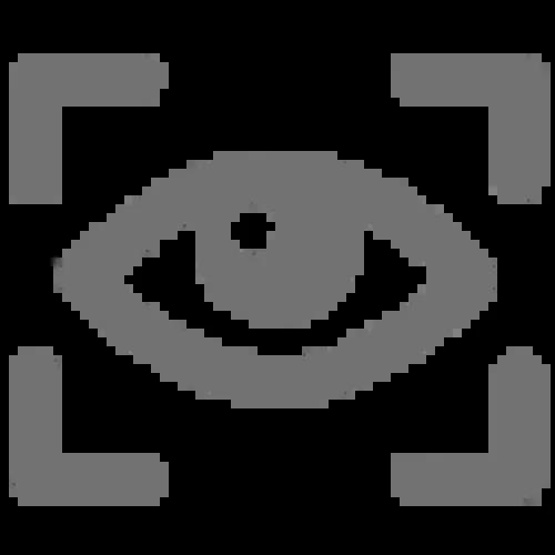 Gray Icon of Eye