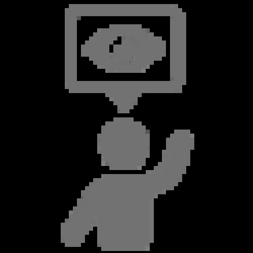 A gray Icon with person and eye above them