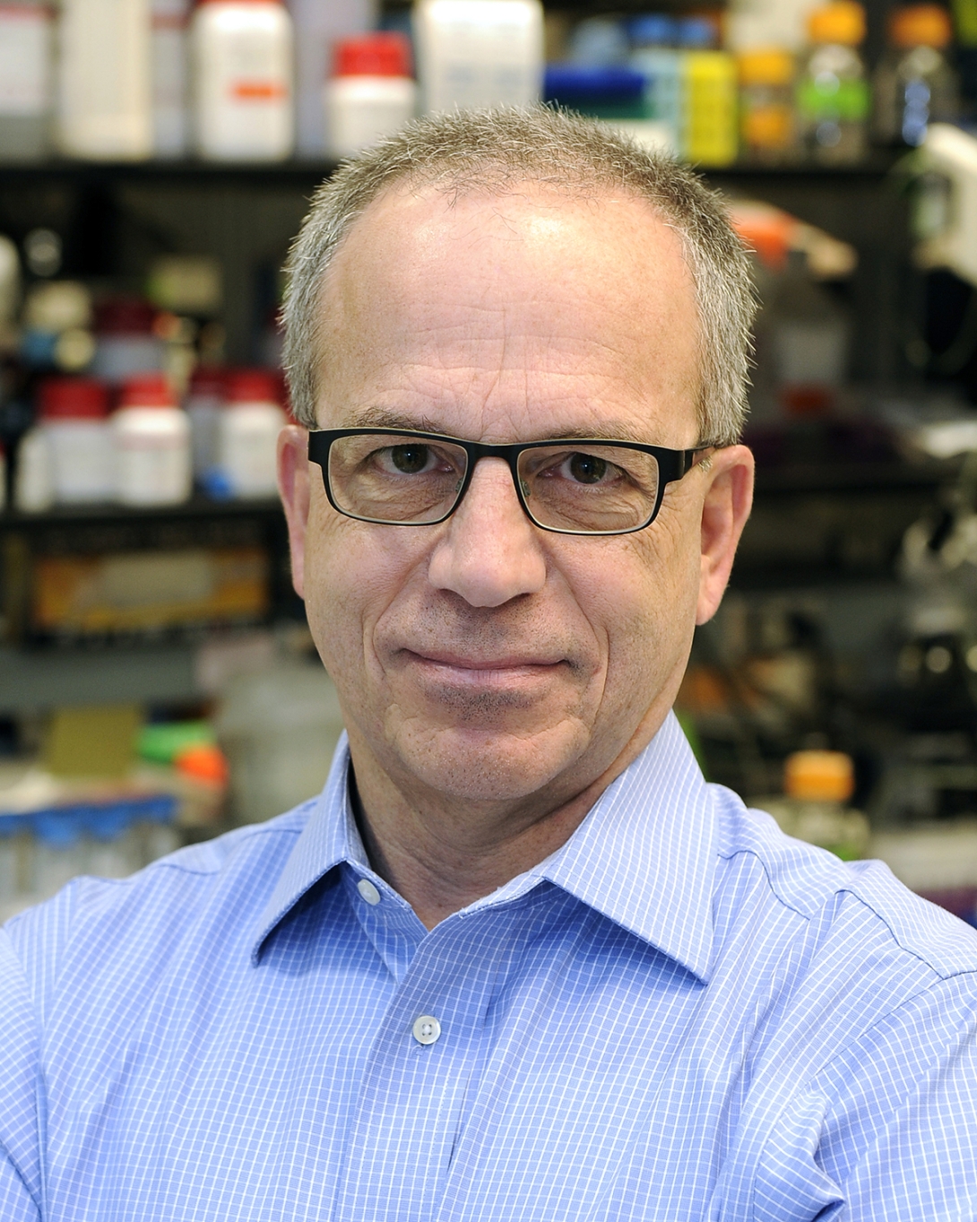 John J. LiPuma