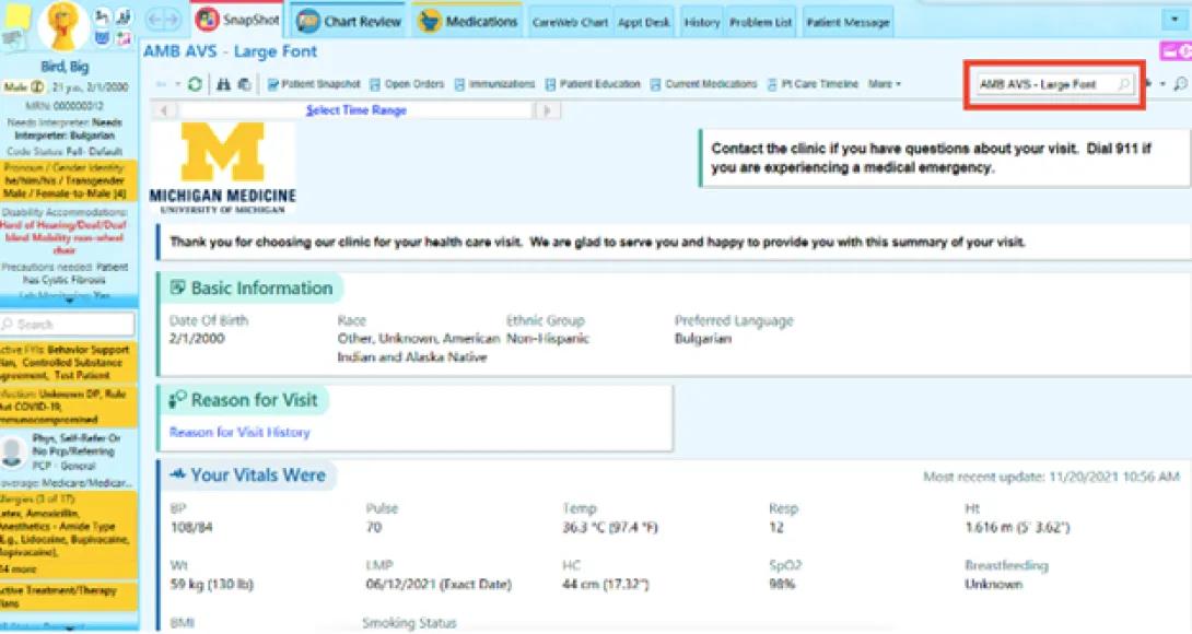 screenshot of Snapshot reports interface where you can select "Large font"