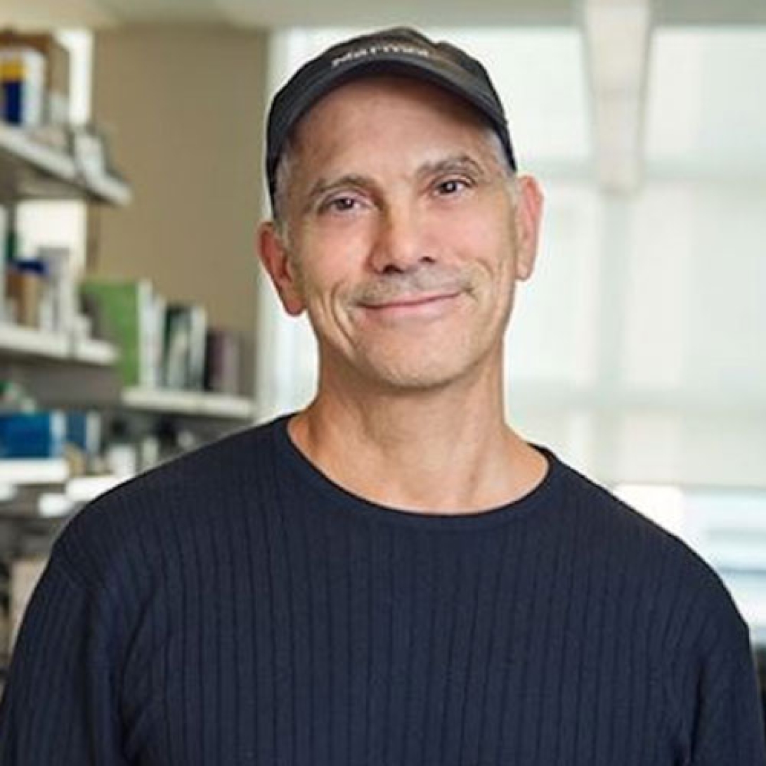 Stephen J Weiss, PhD
