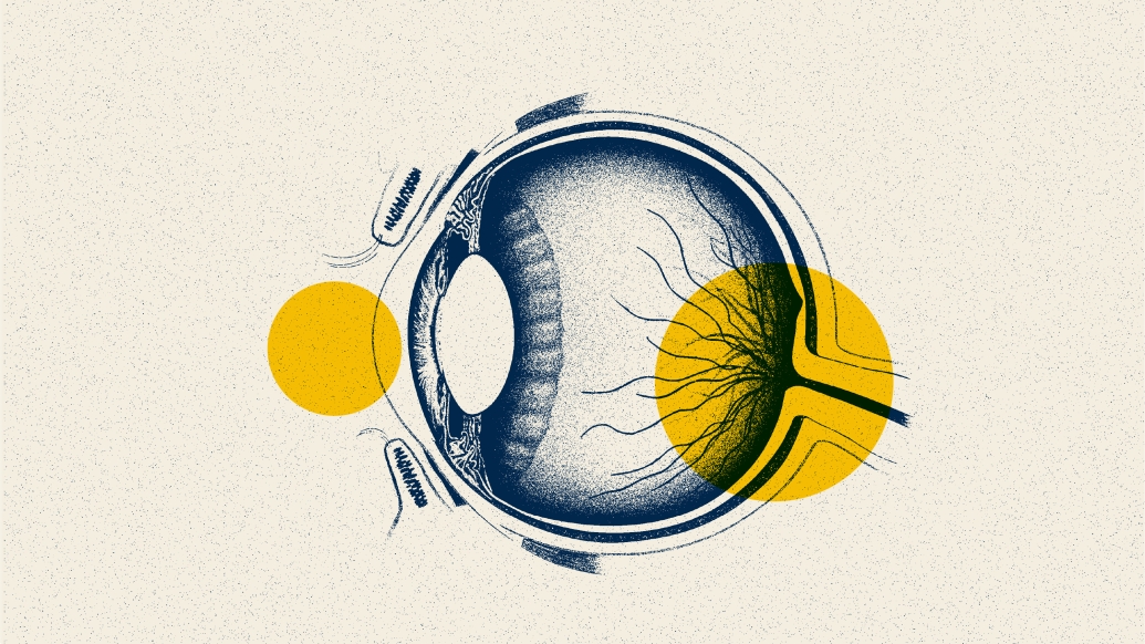 eye drawing