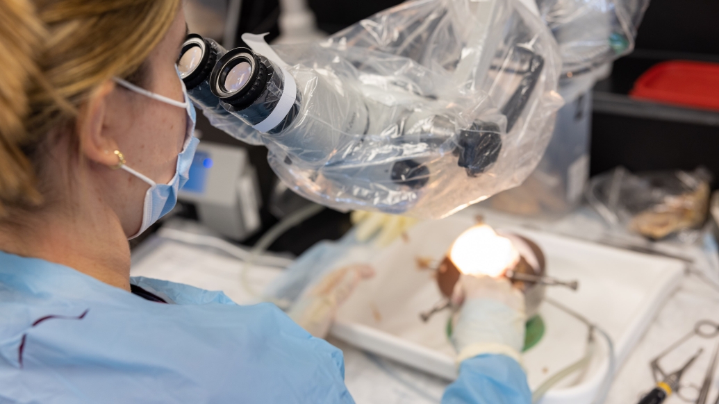 woman in lab with microscope