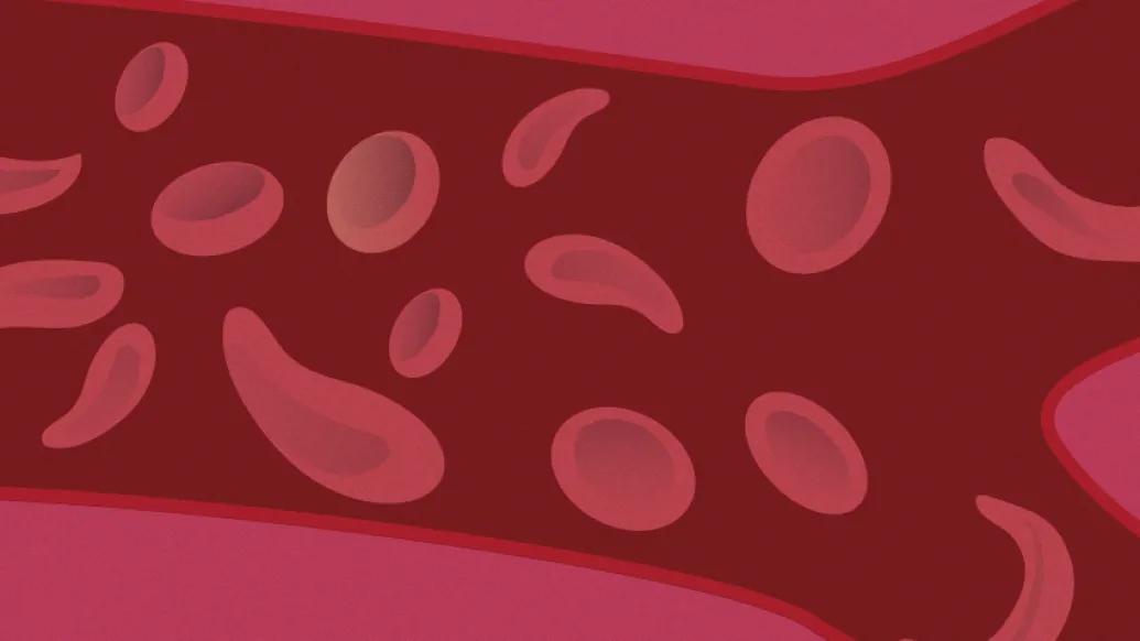 blood cells floating red maroon
