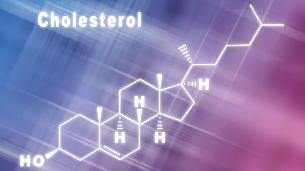 graphic of cholesterol molecule