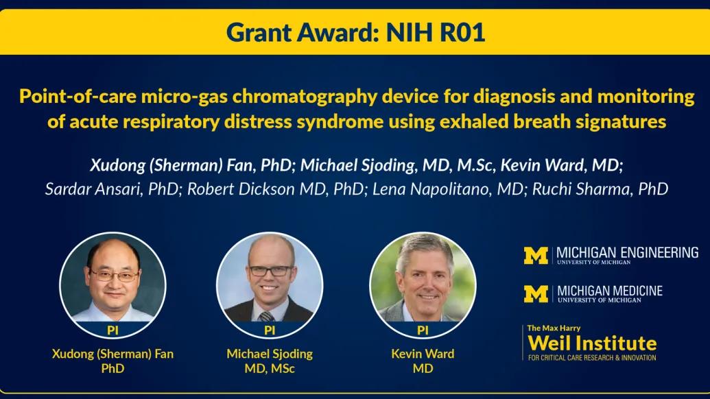 graphic of Grant Award: NIH R01