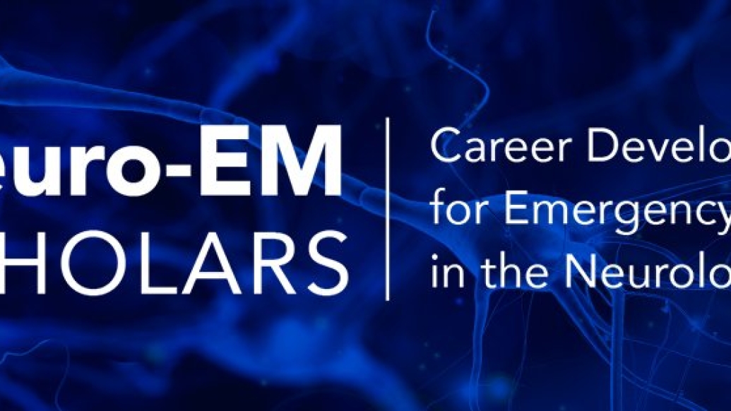 Neuro-EM Scholars email headers graphic