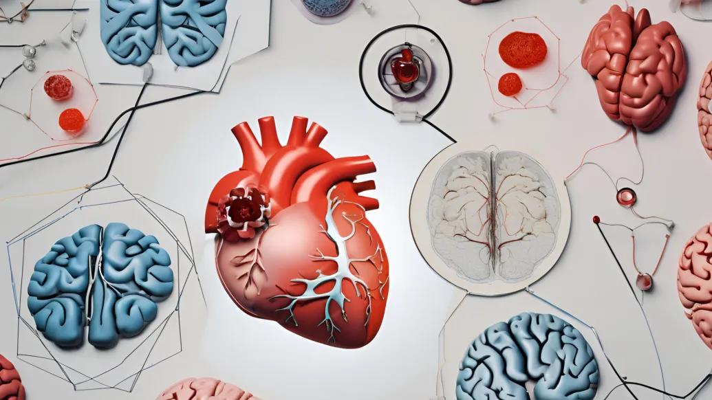AI generated heart and brains