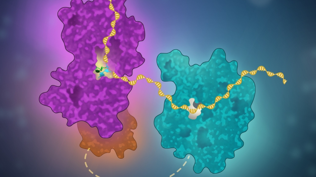 A minimal complex of KHNYN and zinc-finger antiviral protein binds and degrades single-stranded RNA bioart