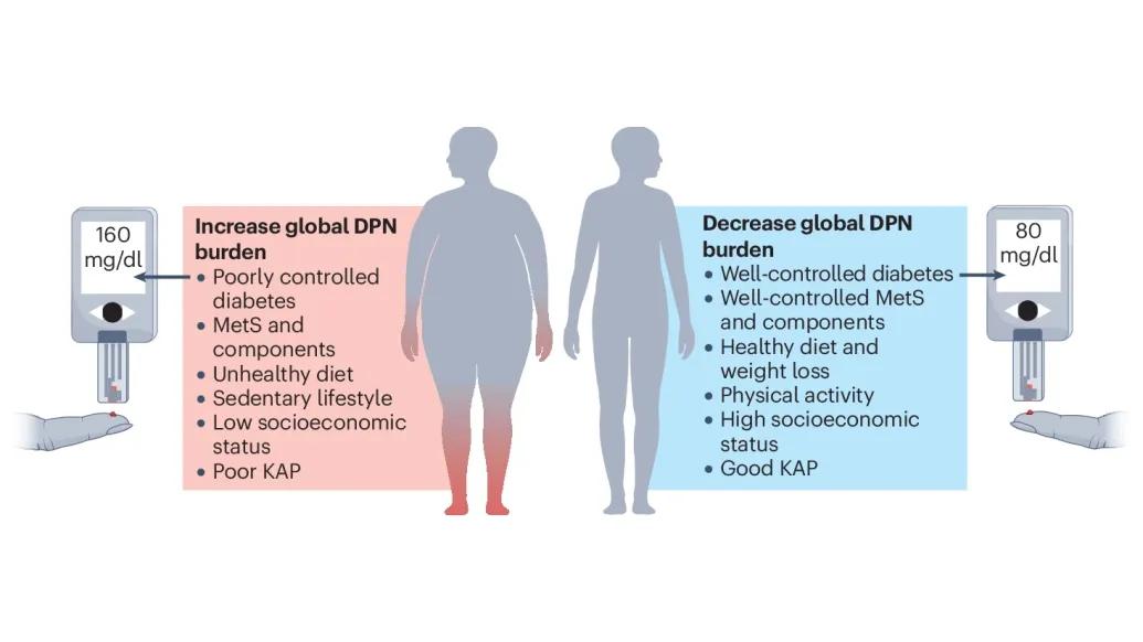 Graphic of an obese person next to a fit person.  Obese person has red arms and legs to signify neuropathy.