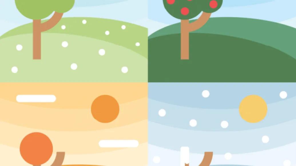 graphic of the four seasons