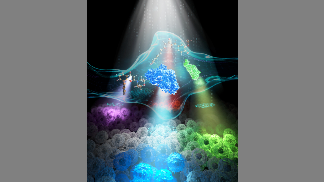 cover design of Molecular Systems Biology, August 4, 2025