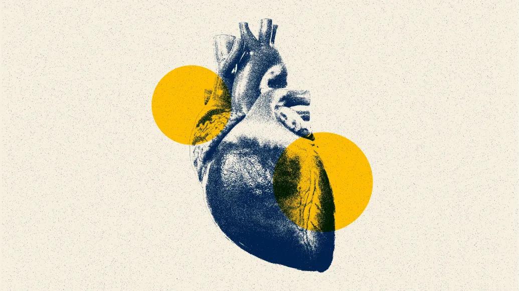 heart graphic navy and yellow