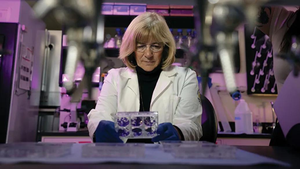 Judith Sebolt-Leopold, PhD examines a specimen in her lab