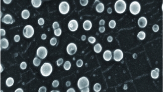 2021_extracellular_vesicles_isolated_from_human_brain