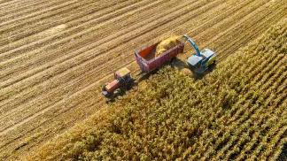 farm_304171823