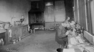 The hygienic lab in 1887
