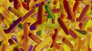 image of the microbiome