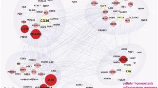 Gene co-citation network clustered by fast-greedy community structuring algorithm