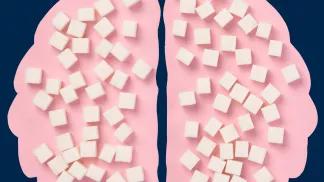 sugar cubes on a pink cut out of the brain's two hemispheres on a navy background