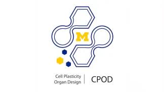 Block M surrounded by a graphic design with Cell Plasticity Organ Design under it