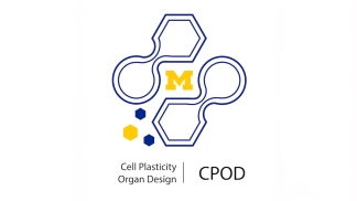 Block M surrounded by a graphic design with Cell Plasticity Organ Design under it