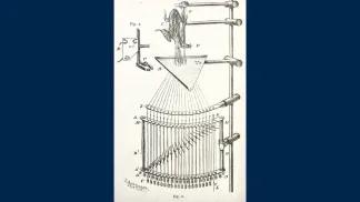 diagram of a muscle harp