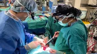 Surgeons perform surgery