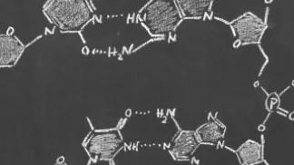 Chalkboard with chemical structures
