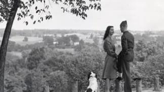 Veterans with dog looking at a view of trees from the top of a hill