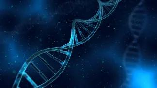 DNA strands