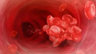 Blood cells