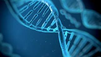 DNA strands