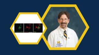 Peter Arvan and Protein Folding Errors in test results