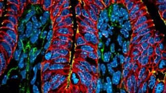science imagery