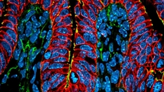 science imagery