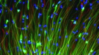 science imagery