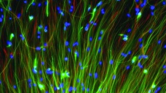 science imagery
