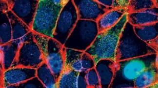 science imagery