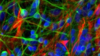 science imagery