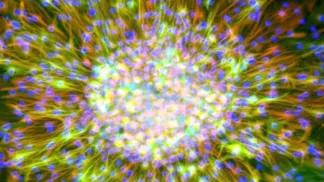 scientific image
