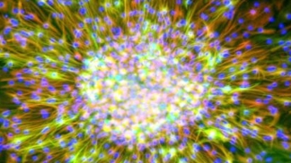 scientific image
