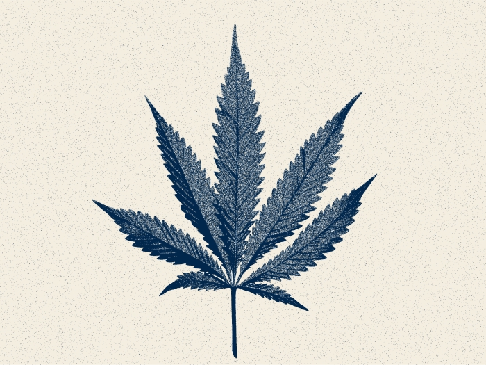 marijuana leaf drawing blue lab note yellow badge upper left corner