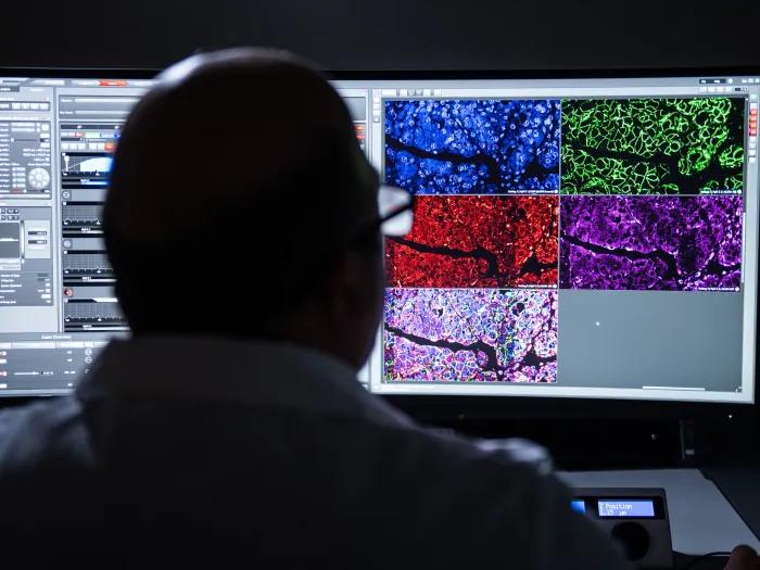 researcher working in lab